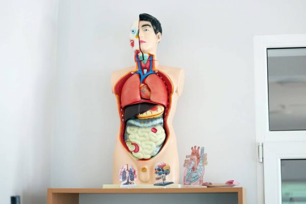 615286950_1201549612160655_1298959363075167024_n