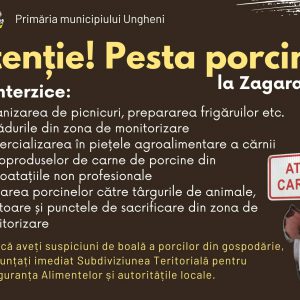 615393135_1291245333033956_21909344591496155_n