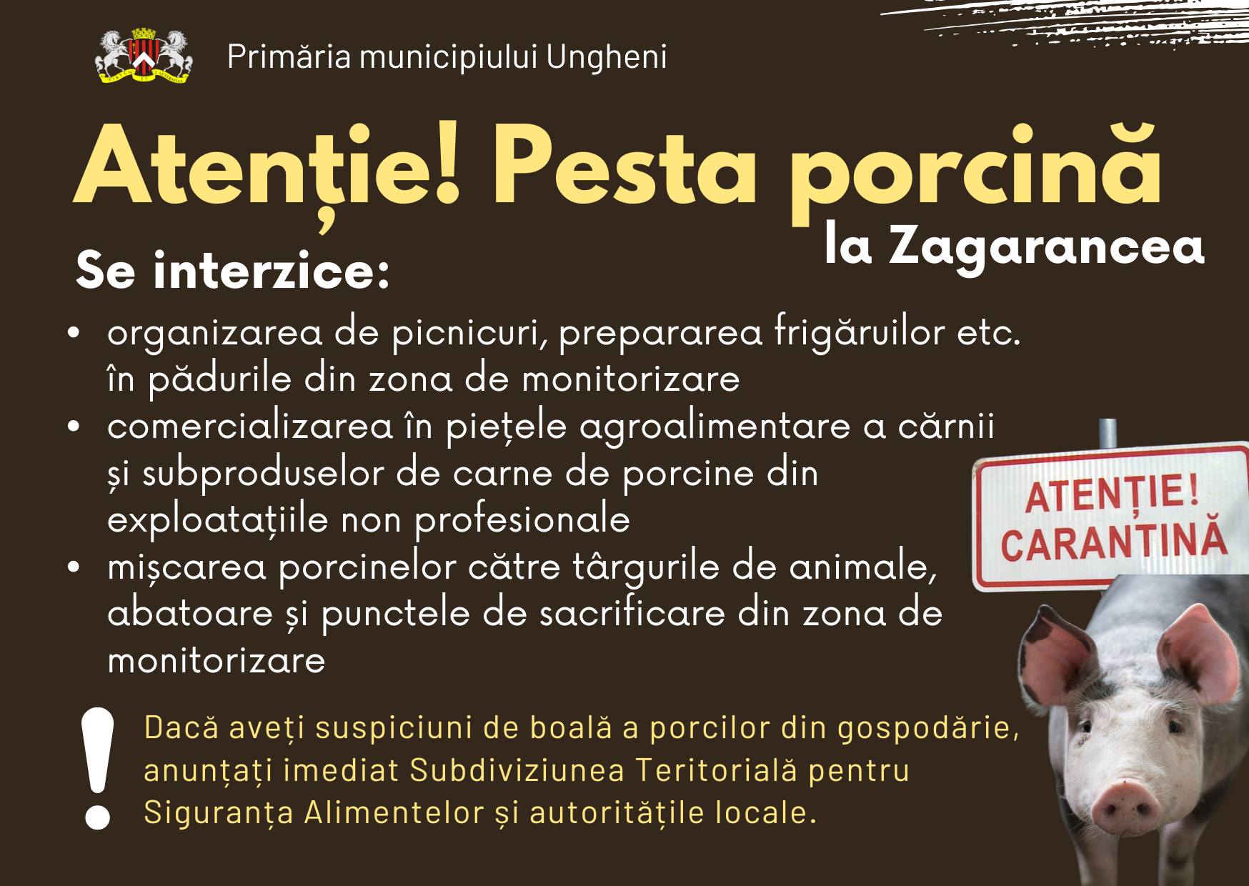 615393135_1291245333033956_21909344591496155_n