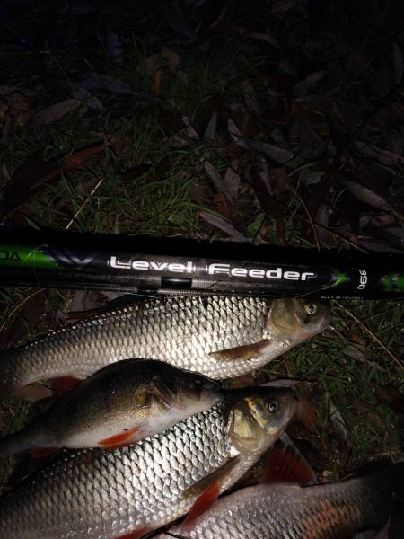 615418413_1182336577404347_6508025299404500705_n