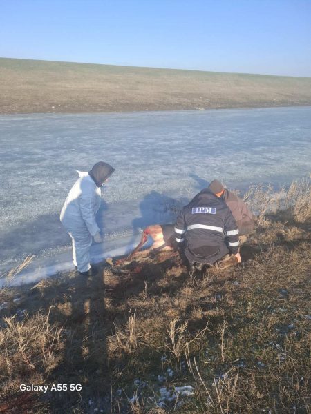 616101025_1183941730577165_7354960468513085166_n