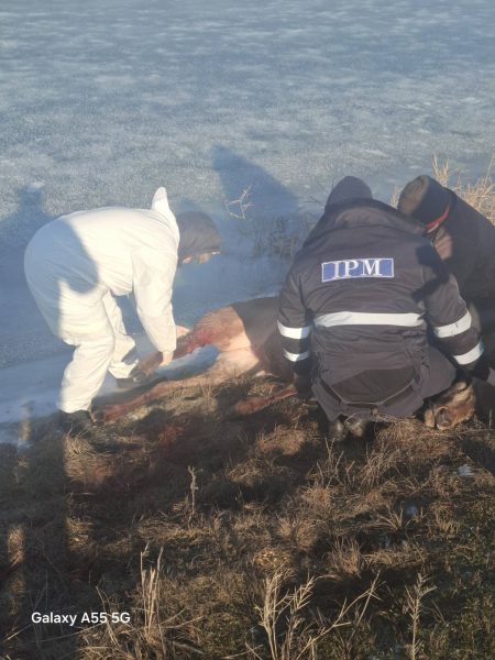 616163850_1183941743910497_4835722643910628536_n