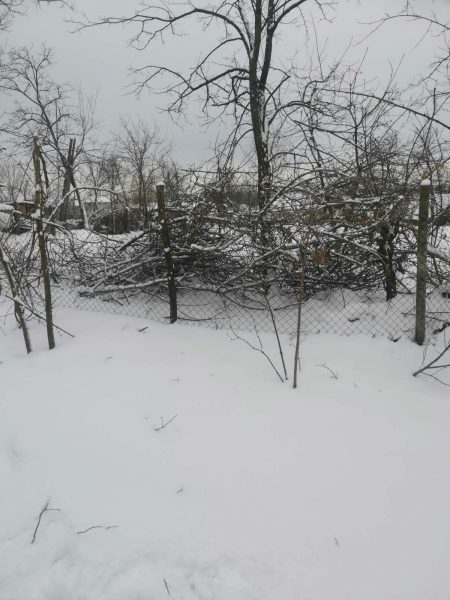 616196254_1183121230659215_961431582718398952_n