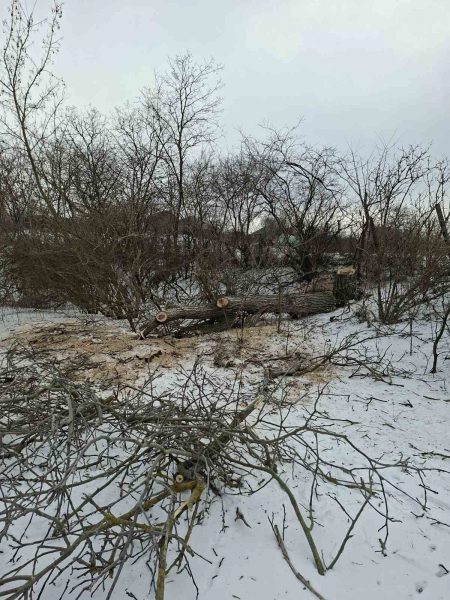 616207489_1183069670664371_3093359119671797608_n