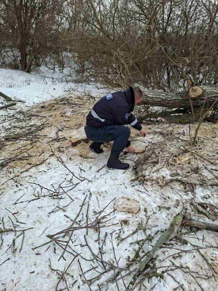 616327829_1183069757331029_7667092955859171389_n