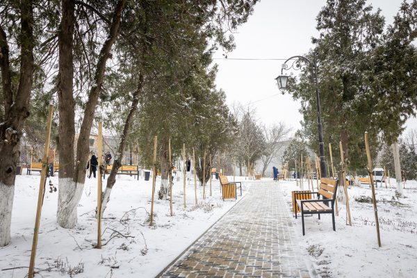 616387437_1203303488619201_8881461437635561524_n