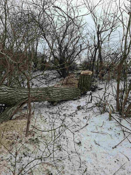 616477626_1183069663997705_802109457915856117_n