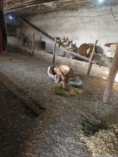 616608306_1183941920577146_6287415028240938605_n