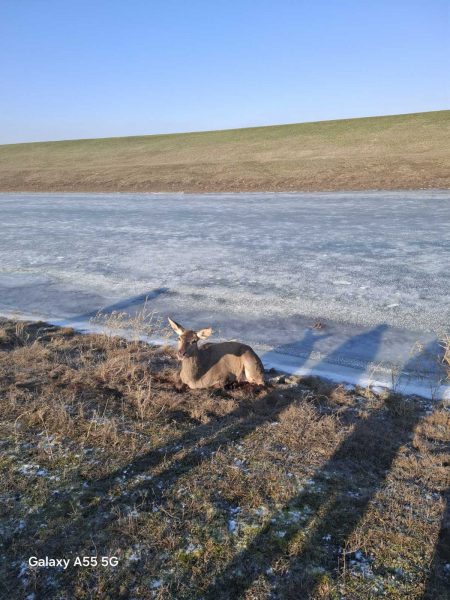 617014843_1183941740577164_8076625621622911777_n