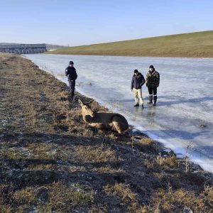 617076124_1183941823910489_9019840109369876878_n