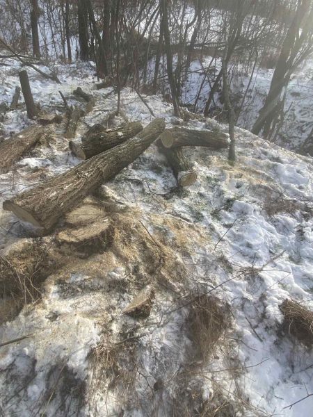 617665664_1187426693562002_2758589256361201038_n