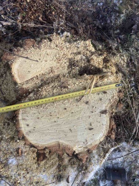 617784572_1187426616895343_1246159089809249148_n