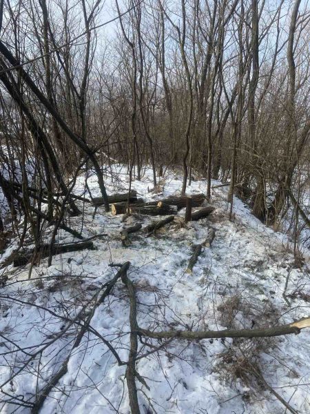 617887207_1187426683562003_5458646859813955609_n