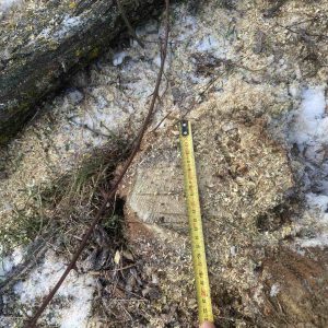 618213793_1187426613562010_1516806699842325184_n