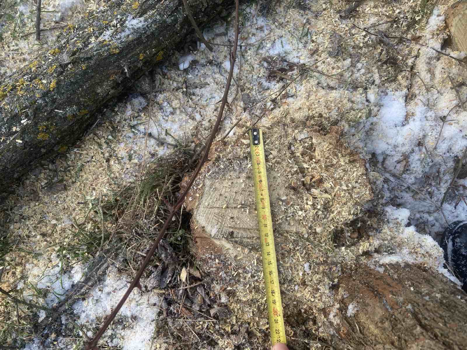 618213793_1187426613562010_1516806699842325184_n