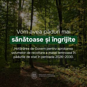 619277403_1268973508623459_1966581745697603826_n