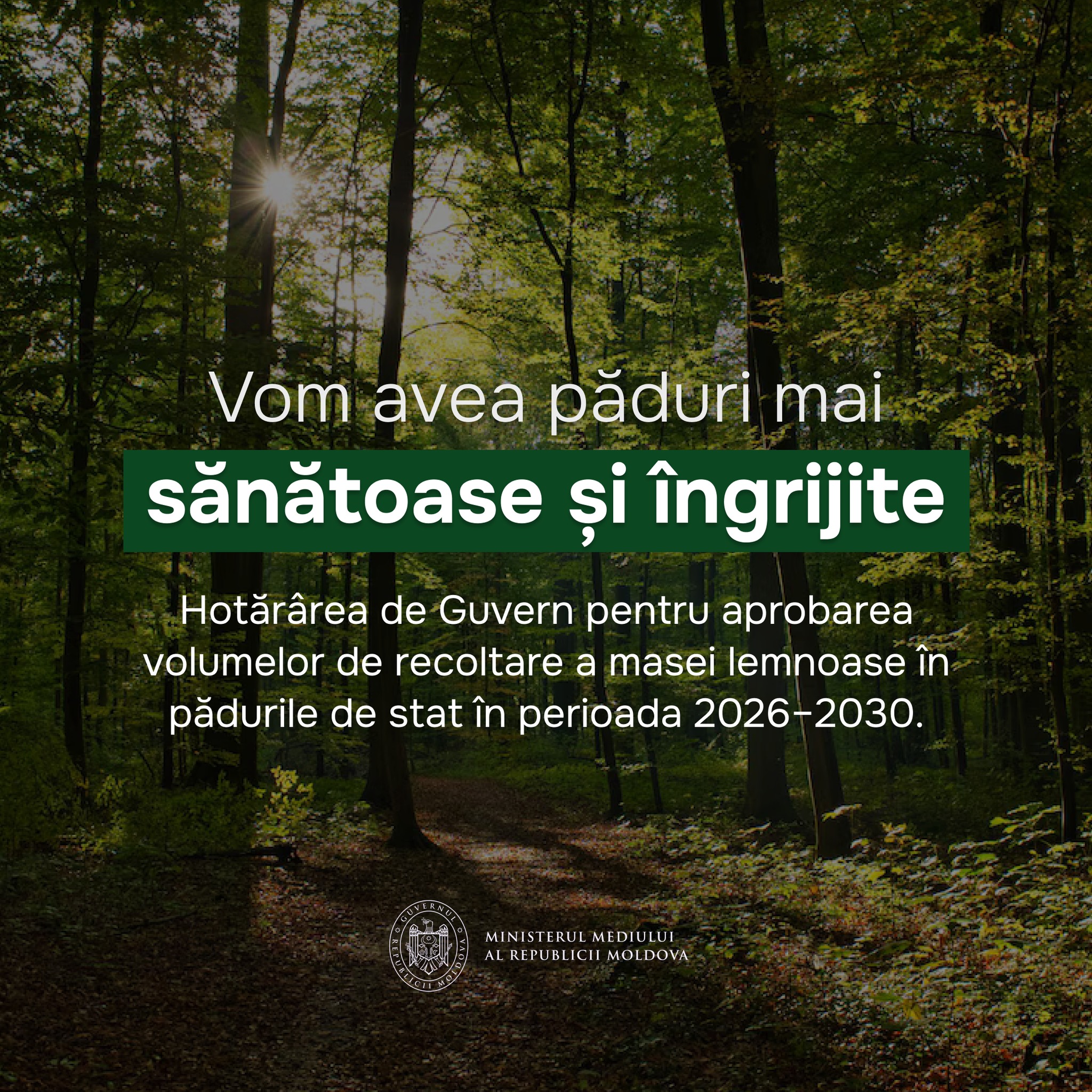 619277403_1268973508623459_1966581745697603826_n