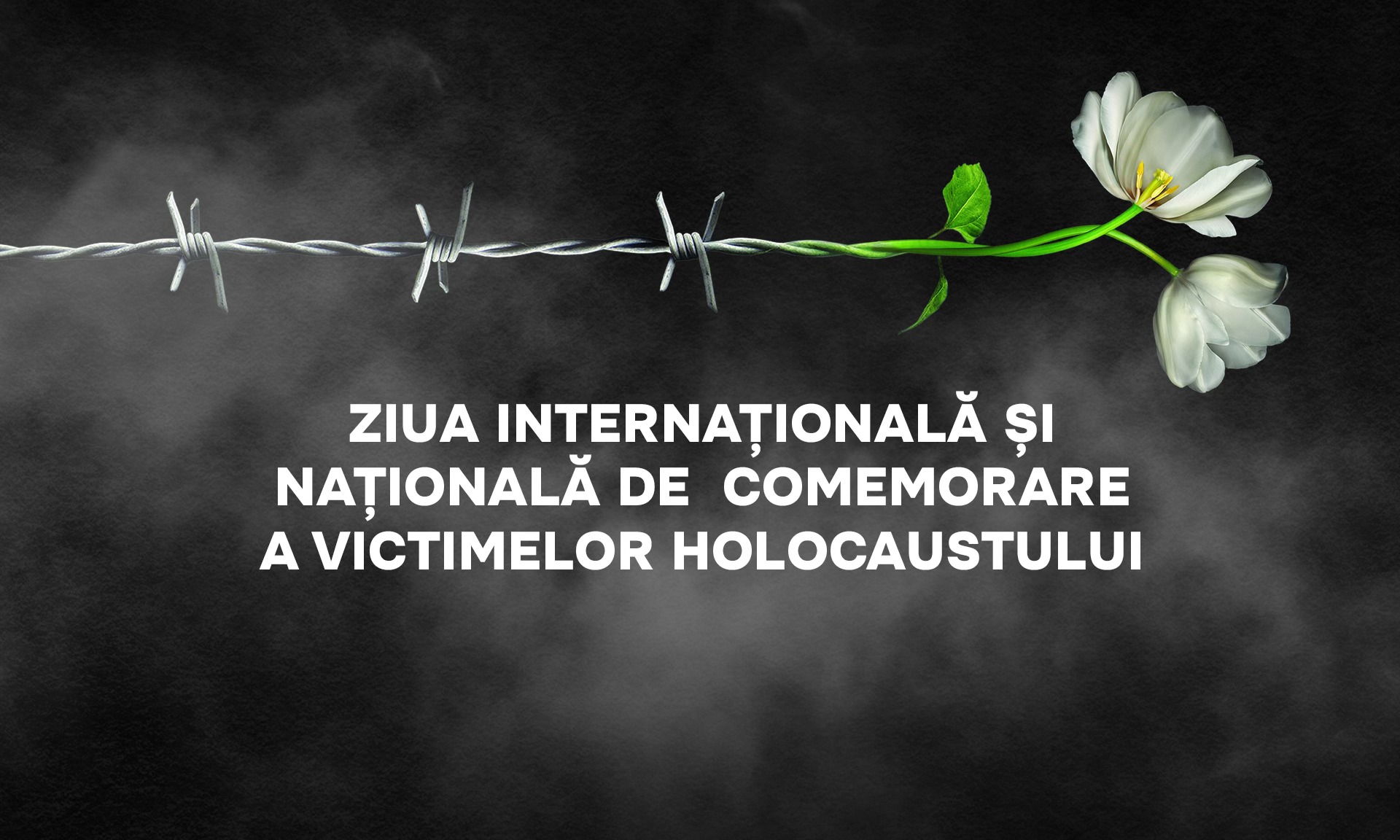 621216743_919212593960306_4687537557818406865_n