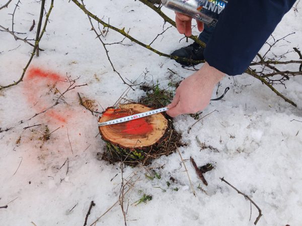 621833632_1194914362813235_5065432444949426455_n