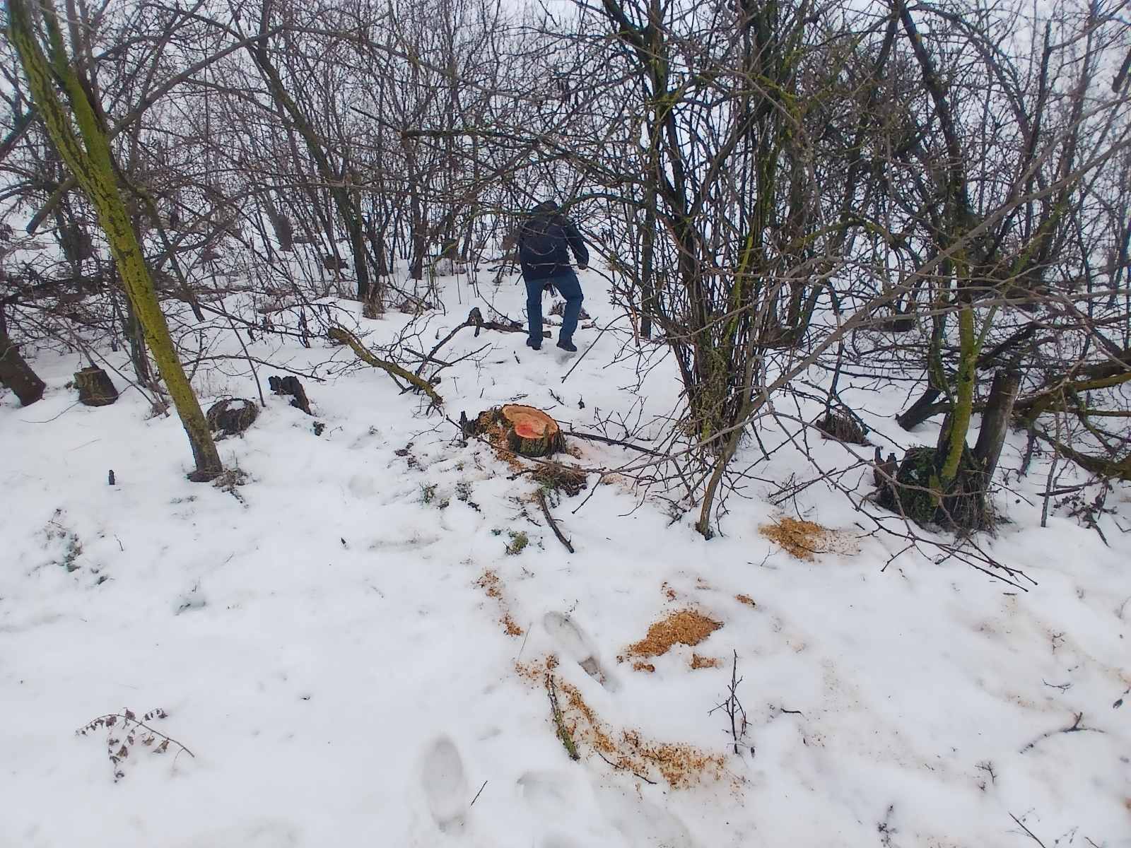 623359500_1194914289479909_6622932316968675758_n