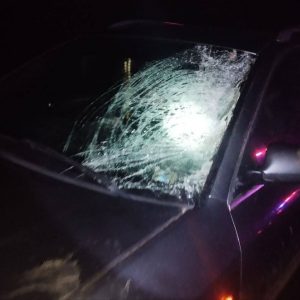 623401920_1337387488431932_5843903757130006744_n