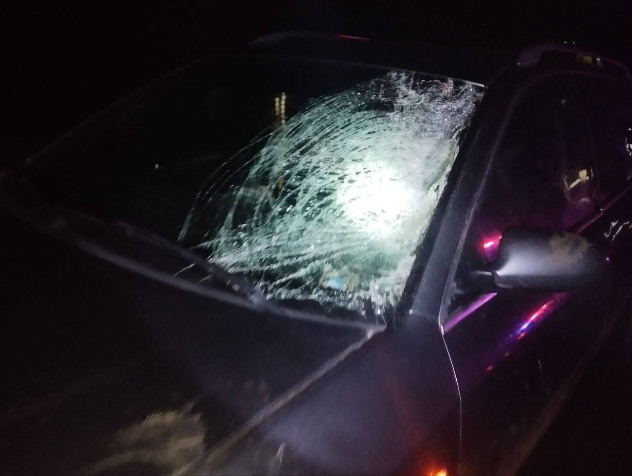 623401920_1337387488431932_5843903757130006744_n