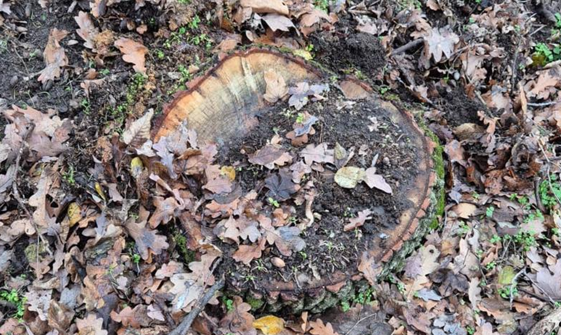 Screenshot 2026-01-05 161038