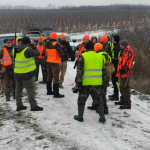 Screenshot 2026-01-13 114458