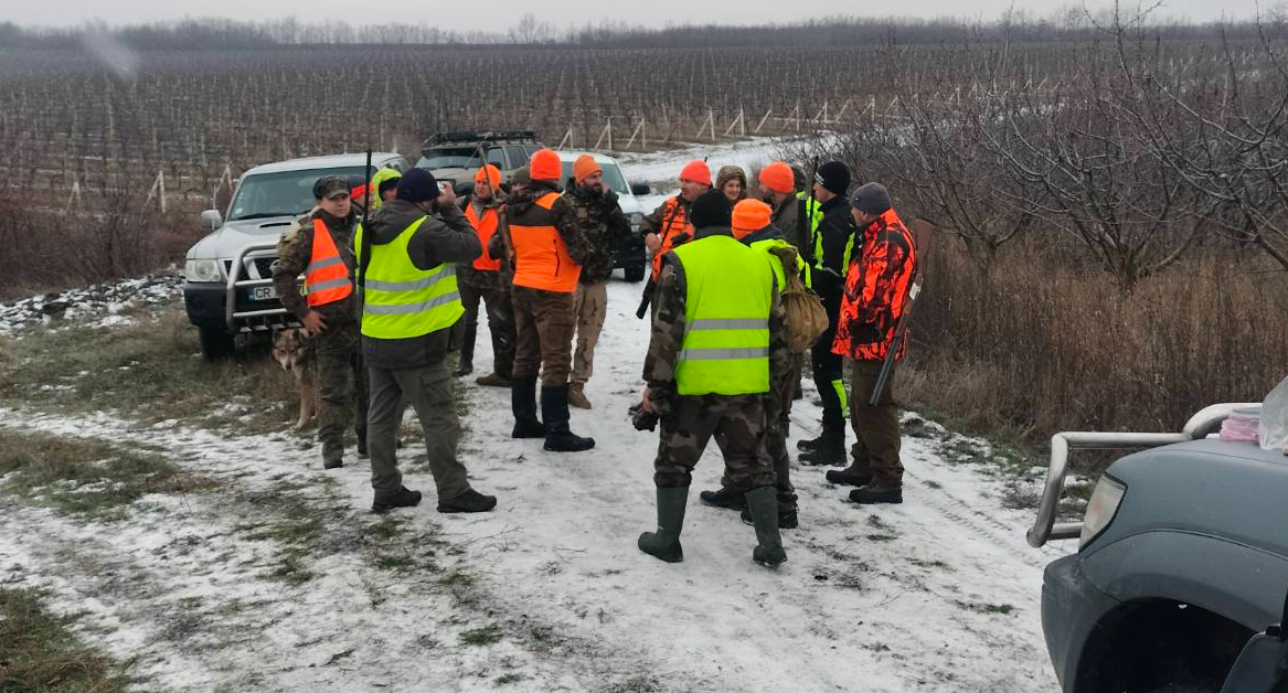 Screenshot 2026-01-13 114458