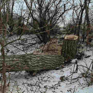 Screenshot 2026-01-14 112557