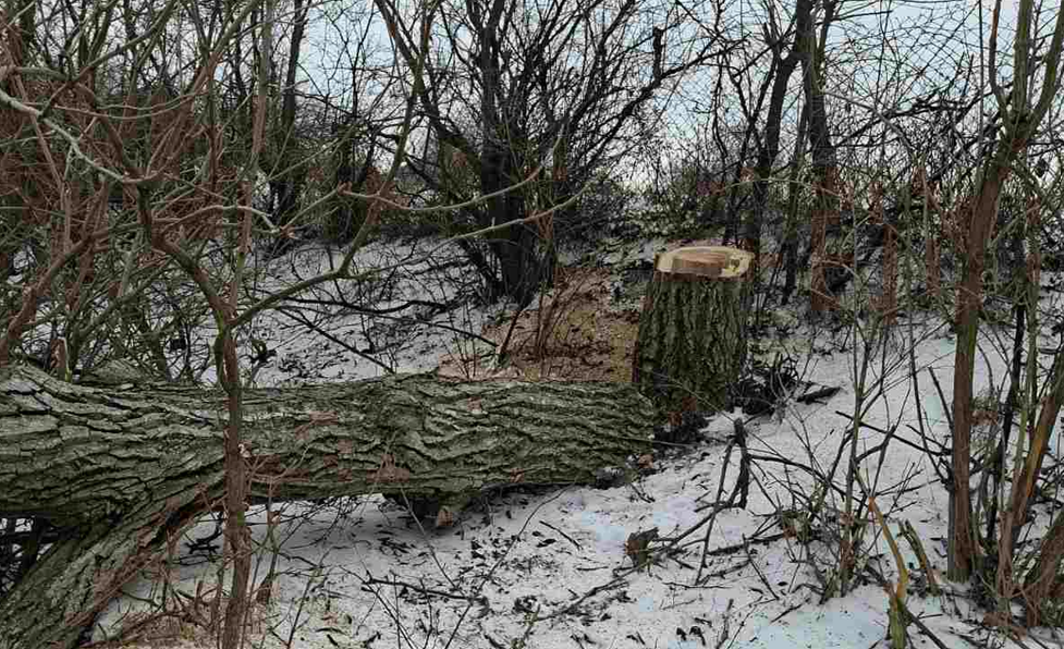 Screenshot 2026-01-14 112557