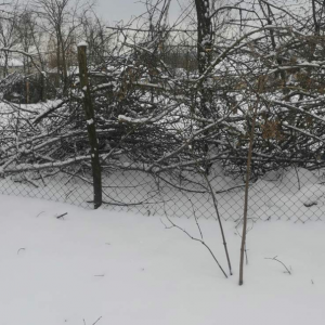 Screenshot 2026-01-14 120404