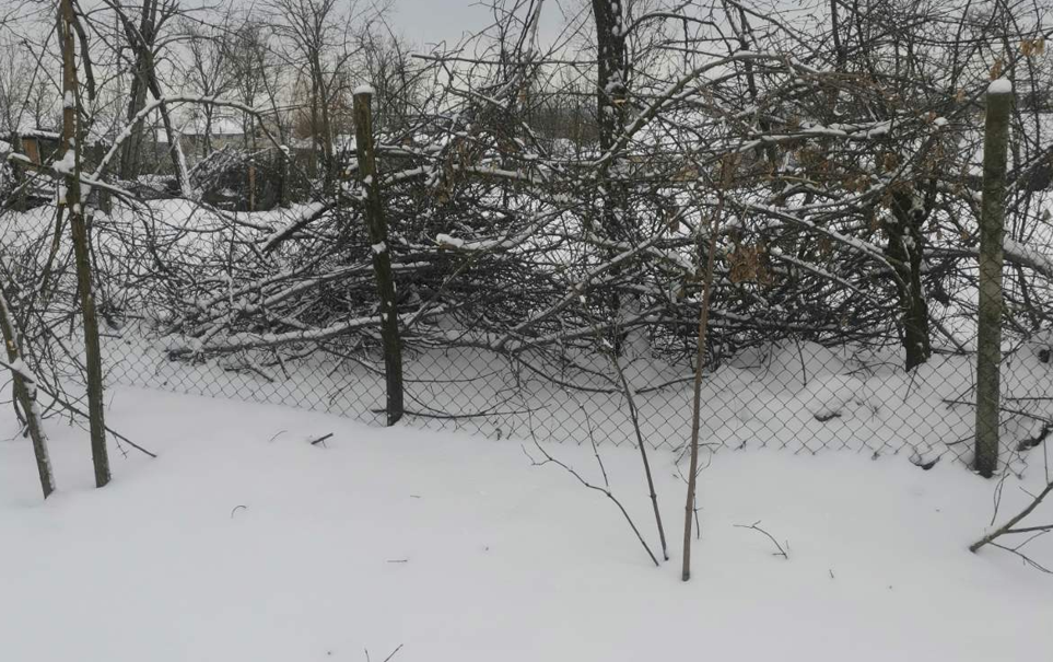 Screenshot 2026-01-14 120404