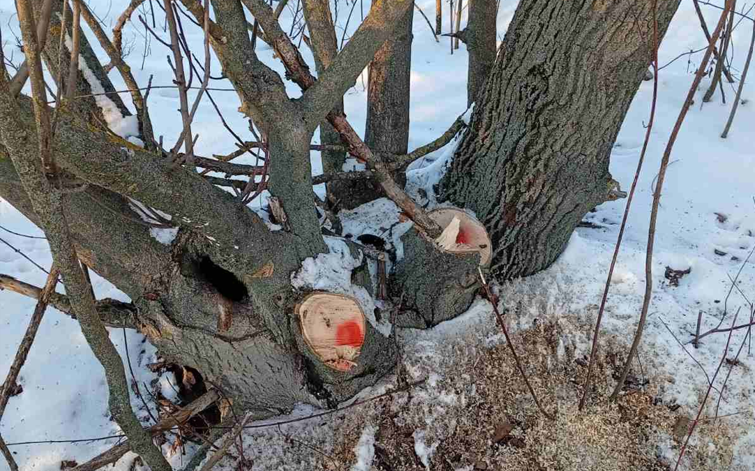 Screenshot 2026-01-20 131245