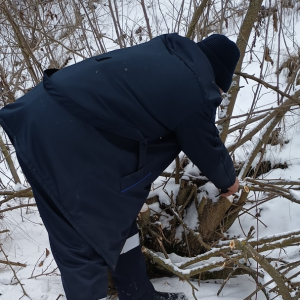 Screenshot 2026-01-21 132347