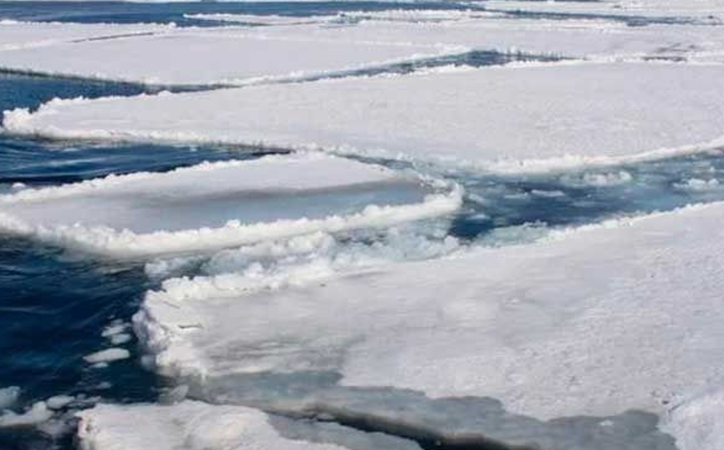 Screenshot 2026-01-23 165813