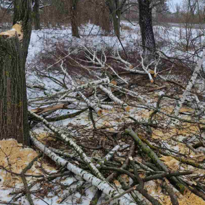 Screenshot 2026-01-26 121927