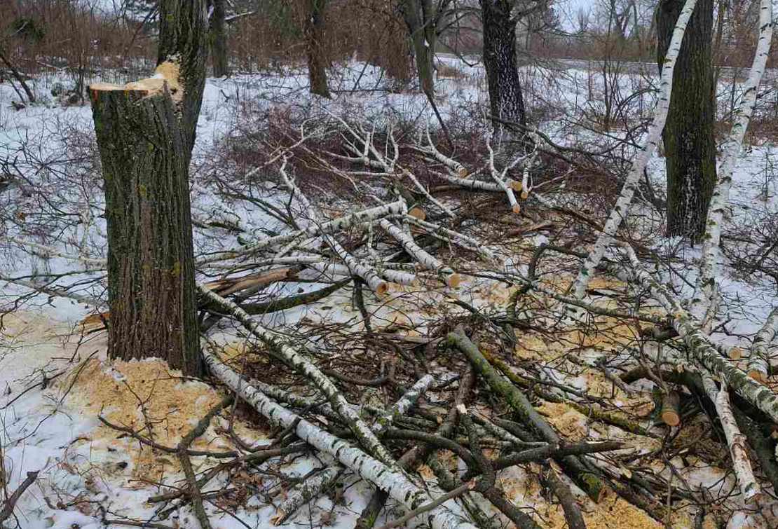 Screenshot 2026-01-26 121927