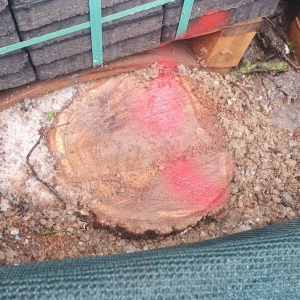 Screenshot 2026-01-29 140121