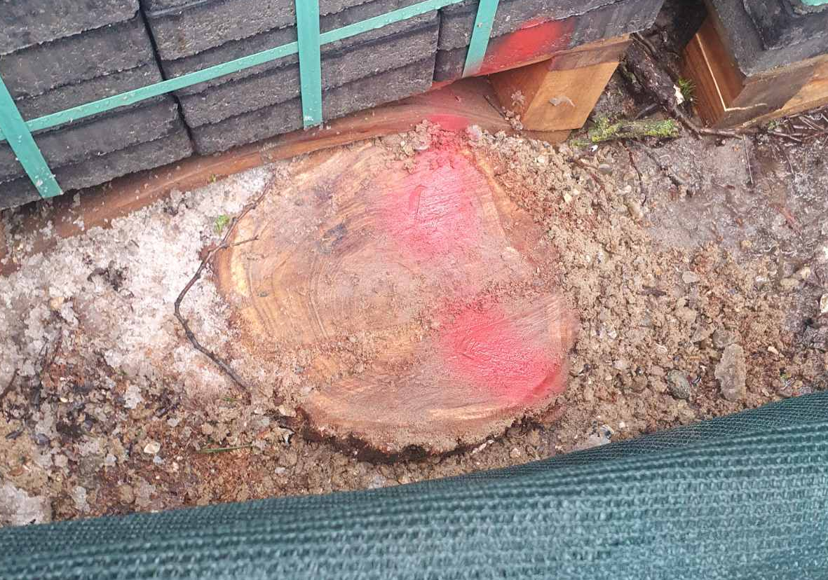 Screenshot 2026-01-29 140121