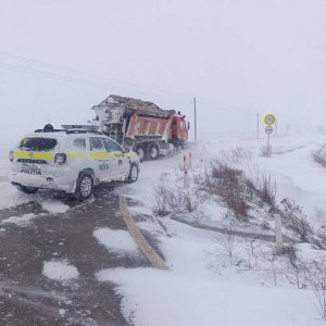 4caff59d-0749-4aab-9139-24dff03e3919