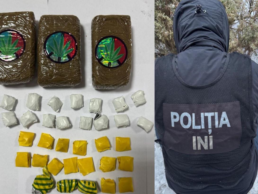 555a516f-56b2-4049-8bf2-3a3b67e28ecc