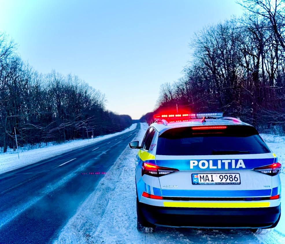 624956914_1341569474680400_459745340498876834_n