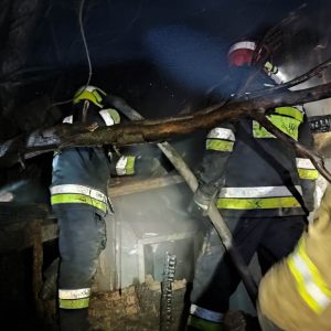 627491174_1298705338962181_7569282647596881675_n