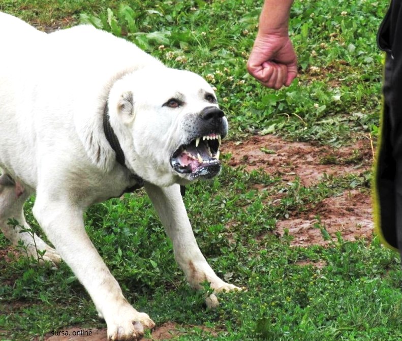 627497244_1196657415976293_8278874292298898982_n