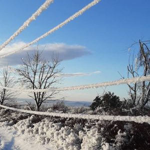 627658184_884634041228908_3191526340994231577_n