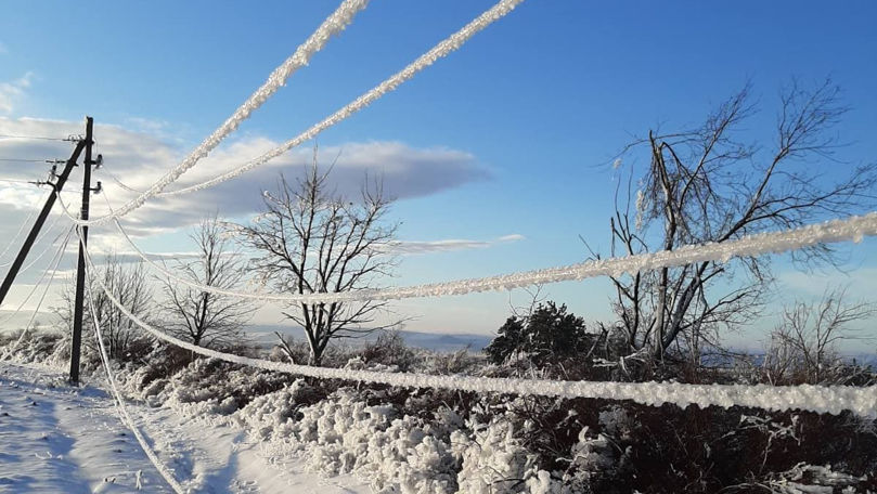 627658184_884634041228908_3191526340994231577_n