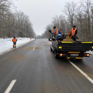 627699088_1225219373130395_9058247763362785924_n