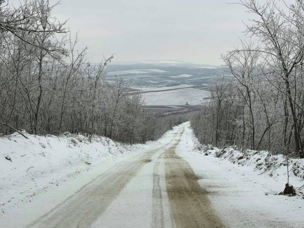 628017198_1325774712927658_7589511026951479987_n