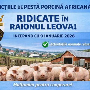 629235364_909687444907285_4584883257791774317_n